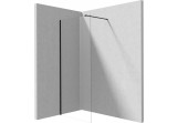 Shower enclosure Deante Prozma walk-in 110x195 cm - glass transparent, profil black met