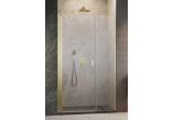 Door shower Radaway Nes KDS II 120, left, 1200x2000mm, silver profil