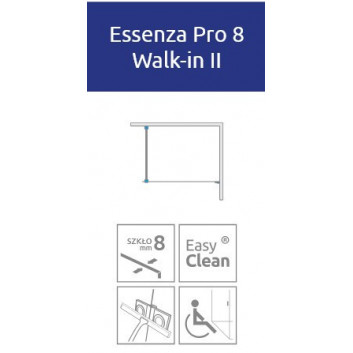 Door shower walk-in Radaway Essenza Pro 8 Gold, 130x200cm, glass transparent, profil gold