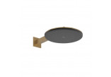 Overhead shower Hansgrohe Raindance Alive S, brushed bronze