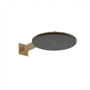 Overhead shower Hansgrohe Raindance Alive S, brushed bronze