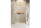 Door shower 120cm, Radaway Alienta DWJ, glass transparent, profil chrome