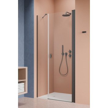 Door shower Radaway Nes KDS II 120, left, 1200x2000mm, silver profil