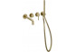 Wall mounted bath mixer Delta Pi gold szczotkowane 