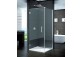 Door ronal PUR PUR1 for recess installation Swing do 2000 mm, left, Chrome, transparent glass- sanitbuy.pl