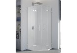 Cabin ronal Pur p3p shower quadrant, door 1-piece left 100 cm- sanitbuy.pl