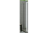 Side panel SanSwiss TOP-LINE TOPF szer. 250 - 800 mm, wys. do 1900 mm, silver shine, transparent