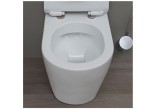 Bowl standing WC Flaminia Link white, goclean, drain floor- sanitbuy.pl
