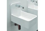 Wall-hung washbasin Flaminia Miniwash 25 white shine, 25 x 40 x 32 cm- sanitbuy.pl