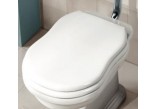 Seat WC Flaminia Efi 47 x 35 x 5 cm, drewno/poliester, white shine, hinges chrome- sanitbuy.pl