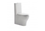 Bowl washdown model WC, standing Galassia Eden white, 53 x 36 x 42 cm, drain uniwersalny- sanitbuy.pl